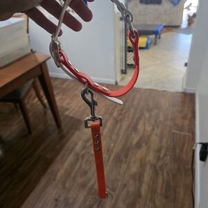 Durable Orange Dog Collar with Leash Attachment